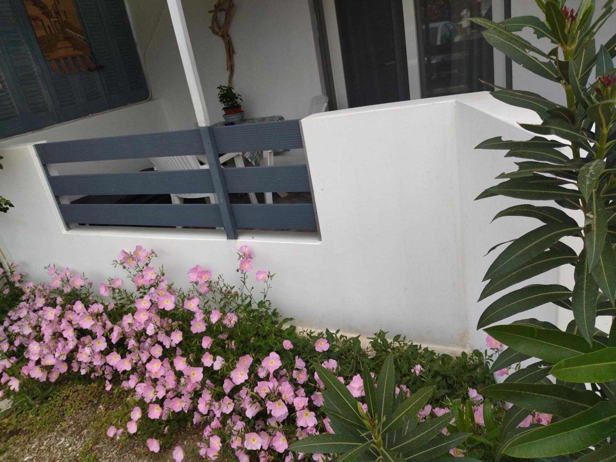 Blue Dreams Guest House Almiropotamos Room photo